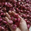 Hành tím Huế 1kg giá rẻ - Hành củ chuẩn vị chỉ 69000đ giảm từ 85560đ