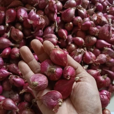 Hành tím Huế 1kg giá rẻ - Hành củ chuẩn vị chỉ 69000đ giảm từ 85560đ