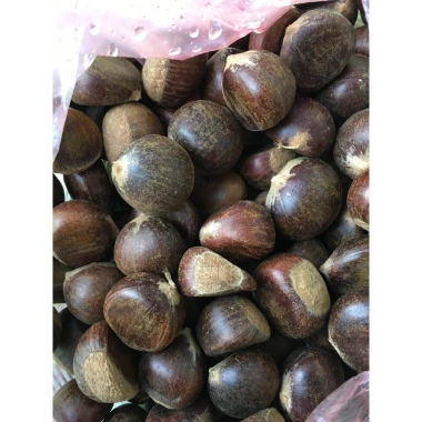Hạt Dẻ Trùng Khánh Giá Rẻ - Giảm Sốc Còn 70.000đ - Mua Ngay