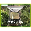 Hạt gấc khô 1kg (Mộc miết tử) 100% tự nhiên Dinh dưỡng tăng sức đề kháng Giá chỉ 89.000đ