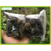 Hạt gấc khô 1kg (Mộc miết tử) 100% tự nhiên Dinh dưỡng tăng sức đề kháng Giá chỉ 89.000đ 2