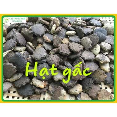 Hạt gấc khô 1kg (Mộc miết tử) 100% tự nhiên Dinh dưỡng tăng sức đề kháng Giá chỉ 89.000đ 3