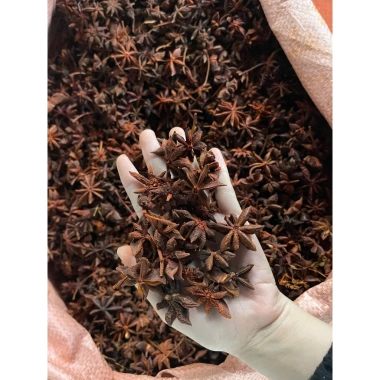 Hoa hồi khô Đại Hồi 1KG - Đặc sản Tây Bắc, hương thơm mạnh, giá chỉ 49,000₫ 3