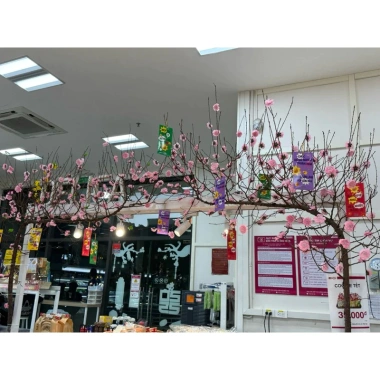 Hoa Mai Đào Giả Trang Trí Tết - Cắm Cây, Trang Trí Nhà Cửa, Sân Vườn - Giảm 18% chỉ 43.500đ