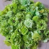 Hoa Vải Lụa Cao Cấp 50-100 Hoa Theo Tông Mầu Giảm Giá 180000đ 16