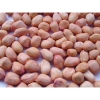 Kẹo Lạc Thơm Ngon 1Kg - Giá Chỉ 49.000Đ (Giảm từ 63.700Đ) Mua Ngay!