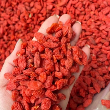 Kỷ Tử Siêu Lớn Size Đại, Cỡ Bằng Nửa Đầu Ngón Tay - Chỉ 50.000 Đ Giảm 15.000 Đ
