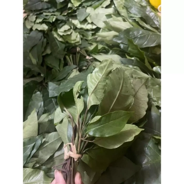 Lá đắng khô Thanh Hóa 250gr (lá lằng, lá chân chim) – Nấu canh, pha nước, chỉ 38.000đ