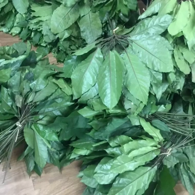 Lá đắng khô Thanh Hóa 250gr (lá lằng, lá chân chim) – Nấu canh, pha nước, chỉ 38.000đ