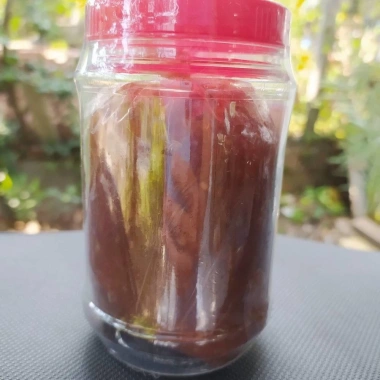 MẮM THÁI CHÂU ĐỐC GIÁ RẺ 53.100Đ - ĐẶC SẢN NGON, ĐẠM ĐÀ, THƠM NGỌT TỪ VỰA KHÔ ĐẠI NGƯ