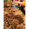 Măng Khô Tây Bắc 1kg - Măng Vụ Mới 2.025 Phơi Nắng Tự Nhiên Giá Chỉ 58.000đ 5