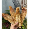 Măng Khô Tây Bắc 1kg - Măng Vụ Mới 2.025 Phơi Nắng Tự Nhiên Giá Chỉ 58.000đ 6