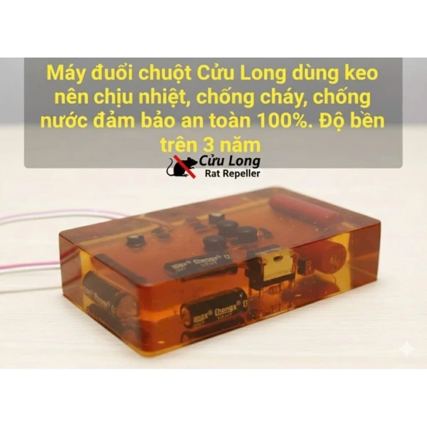 Trải nghiệm thực tế: Người dùng chia sẻ cảm nhận khi dùng máy đuổi dơi Cửu Long tại nhà