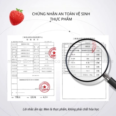 Men ủ rượu trái cây Angel 3g - Làm rượu vang, hoa quả tự nhiên, ủ 15kg trái cây chỉ 22.000đ