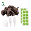 Miulika 20 Chiếc Phát Triển Bọt Biển Tuyệt Vời Cho Hệ Thống Trồng Thủy Canh Cây Khởi Động Phích Cắm Gốc Bọt Biển Tăng Trưởng Thay Thế Cho Hoa