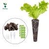 Miulika 20 Chiếc Phát Triển Bọt Biển Tuyệt Vời Cho Hệ Thống Trồng Thủy Canh Cây Khởi Động Phích Cắm Gốc Bọt Biển Tăng Trưởng Thay Thế Cho Hoa 5