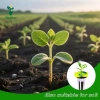 Miulika 20 Chiếc Phát Triển Bọt Biển Tuyệt Vời Cho Hệ Thống Trồng Thủy Canh Cây Khởi Động Phích Cắm Gốc Bọt Biển Tăng Trưởng Thay Thế Cho Hoa 8