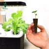 Miulika 20 Chiếc Phát Triển Bọt Biển Tuyệt Vời Cho Hệ Thống Trồng Thủy Canh Cây Khởi Động Phích Cắm Gốc Bọt Biển Tăng Trưởng Thay Thế Cho Hoa 9