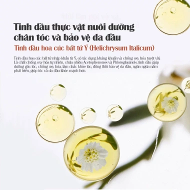 [MUA 2 TẶNG 2] Dầu Gội Xả 2IN1 LILYSTAR Phục Hồi Tóc Chuyên Sâu Chứa Tinh Dầu Nuôi Dưỡng Ẩm Giúp Tóc Mềm Mượt Chai 200ml 4