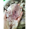 Mực Khô nhỏ,mực khô size nhỏ (110 -120con 1kg). Mực Khô to bằng 4 ngón tay 5