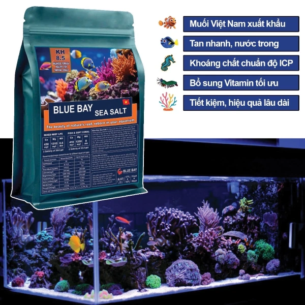 Trải nghiệm thực tế: Người nuôi cá cảnh chia sẻ cảm nhận khi dùng muối biển Blue Bay trong 30 ngày