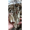 Nấm Lộc Nhung Giảm Giá - 115.000đ/kg, Nấm Nhung Hươu Chất Lượng Cao 200g/500g/1kg Giá Sỉ 5