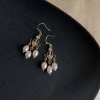 Pháp Retro Ngọc Trai Nước Ngọt Tua Rua Bông Tai Niche - Handmade Cổ Điển, Thời Trang Hanfu, Giá Ưu Đãi 144k 4