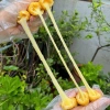 Phô mai que mozzarella Balan kéo sợi giàu dinh dưỡng cho bé - Giảm giá còn 81.000đ hộp 20c 4