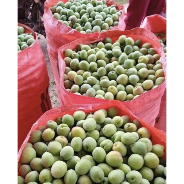Cách bảo quản và sử dụng Mơ Ngâm Đường, Ngâm Rượu Lông Sơn La để giữ độ tươi ngon lâu dài