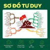 Sách - Đột phá tư duy Lịch sử 12 (Dùng chung cho các bộ SGK) 5