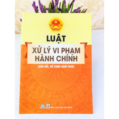 Sách Luật Xử Lý Vi Phạm Hành Chính 2.020 Sửa Đổi Bổ Sung - Giá chỉ 51.750₫ - ndbooks 6