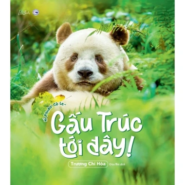 Sách Tranh Gấu Trúc Tới Đây - Giá ưu đãi 90.000₫, học vẽ sáng tạo cho bé