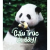 Sách Tranh Gấu Trúc Tới Đây - Giá ưu đãi 90.000₫, học vẽ sáng tạo cho bé 2