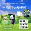 Sách Tranh Gấu Trúc Tới Đây - Giá ưu đãi 90.000₫, học vẽ sáng tạo cho bé 3