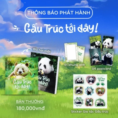 Sách Tranh Gấu Trúc Tới Đây - Giá ưu đãi 90.000₫, học vẽ sáng tạo cho bé