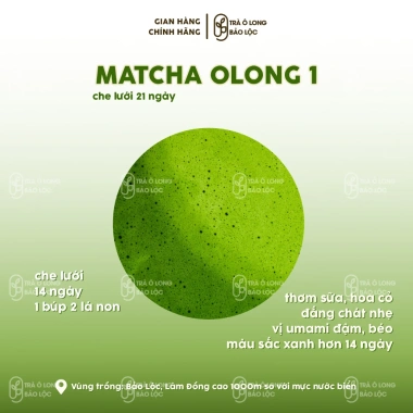 Set Mẫu Thử Matcha Olong - 7 Túi 10gr - Tằng Vĩnh An 4