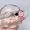 SHANLIN TPR Ball, Đồ chơi nhồi bông bóng nước Hỗ trợ giảm mụn trong suốt, Đồ chơi nhồi bông bong bóng sáng tạo thực tế ngộ nghĩnh Đồ chơi trẻ em 10