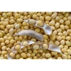SỈ 10KG Đậu Nành sạch, Đậu tương chuẩn đẹp, giá sỉ & giá rẻ chỉ 128.000 VNĐ