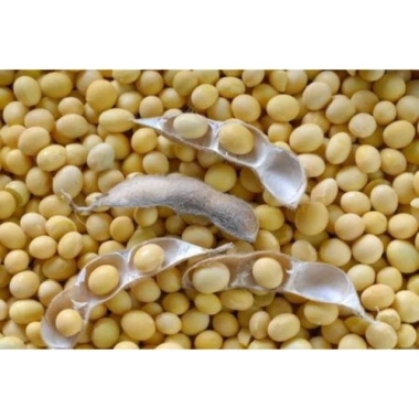 SỈ 10KG Đậu Nành sạch, Đậu tương chuẩn đẹp, giá sỉ & giá rẻ chỉ 128.000 VNĐ