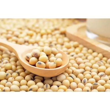 SỈ 10KG Đậu Nành sạch, Đậu tương chuẩn đẹp, giá sỉ & giá rẻ chỉ 128.000 VNĐ