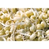 SỈ 10KG Đậu Nành sạch, Đậu tương chuẩn đẹp, giá sỉ & giá rẻ chỉ 128.000 VNĐ 3