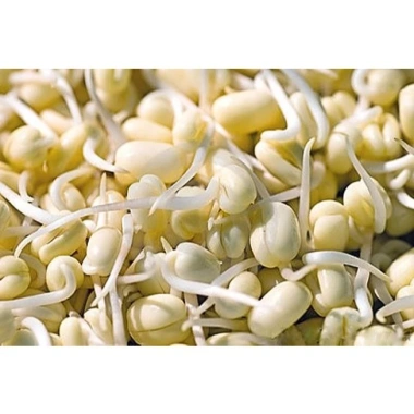 SỈ 10KG Đậu Nành sạch, Đậu tương chuẩn đẹp, giá sỉ & giá rẻ chỉ 128.000 VNĐ