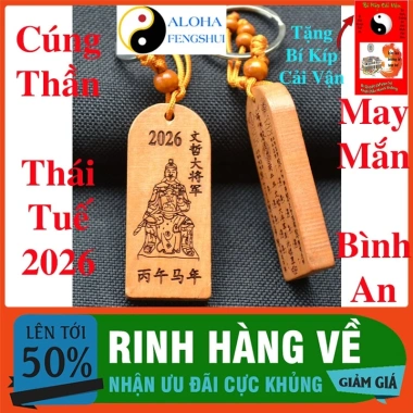 Thái Tuế Phù Gỗ Đào Bính Ngọ 2.026 Hóa Giải Vận Hạn Tuổi Tý Ngọ Mão Sửu Tặng Bí Kíp Cải Mệnh 2