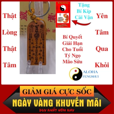 Thái Tuế Phù Gỗ Đào Bính Ngọ 2.026 Hóa Giải Vận Hạn Tuổi Tý Ngọ Mão Sửu Tặng Bí Kíp Cải Mệnh 6