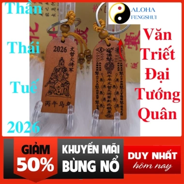 Thái Tuế Phù Gỗ Đào Bính Ngọ 2.026 Hóa Giải Vận Hạn Tuổi Tý Ngọ Mão Sửu Tặng Bí Kíp Cải Mệnh 7