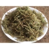 THÔNG ĐẤT KHÔ 1KG Hàng Chuẩn Loại 1 - Phát triển mạnh, Giá ưu đãi 175.000 VND 3
