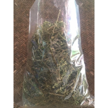 THÔNG ĐẤT KHÔ 1KG Hàng Chuẩn Loại 1 - Phát triển mạnh, Giá ưu đãi 175.000 VND 4