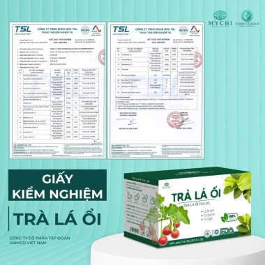 Trà Lá Ổi Túi Lọc MyChi Chính Hãng - Giảm Mỡ, Ngừa Tiểu Đường, Hỗ Trợ Tiêu Hóa, Tốt Dạ Dày - 49k
