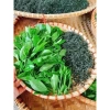 Trà Shan Tuyết Cổ Thụ Lai Châu 100% Tự Nhiên, Không Bảo Quản, Thơm Sạch 170k 6