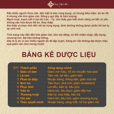 Trà Tiêu Thực Detox 100% Thải Mỡ Bụng, Đùi, Giảm Cân Nhanh - Giá Ưu Đãi 146k